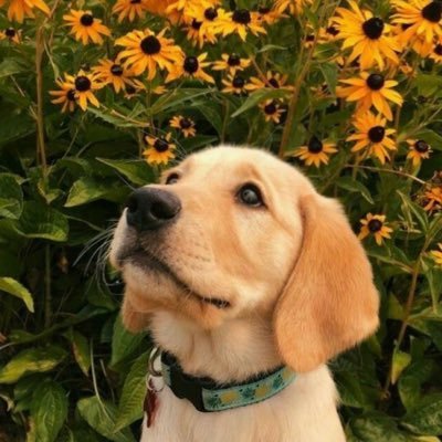 Ohm_pk_'s profile picture. We are the same