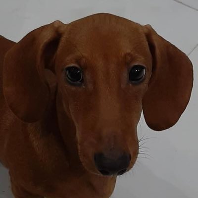 MrCryptoNguyen1's profile picture. 