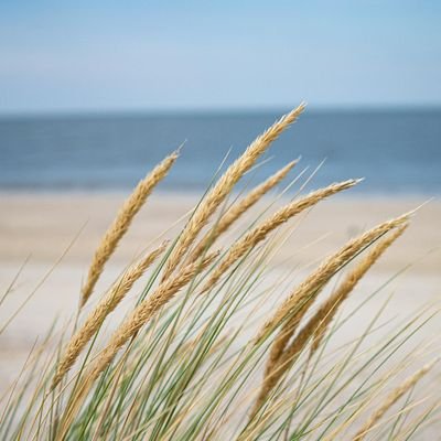 MULSU_0315's profile picture. Woont in het mooie noorden van Nederland.