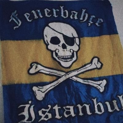 Tek Aidiyetimiz Şanlı Fenerbahçe’ye Bir grup değil,Sayfadır.