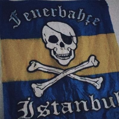 AllezFener Profile Picture