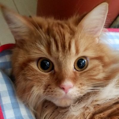 都内でSES営業をしています
社風が自由のためゆる~くやっておりますが、なにとぞ!
SES事業部設立が今年のため、協力会社様、エンジニアを絶賛募集中です!
情報交換などできればと思っておりますので、
お打ち合わせ等、DMでお気軽に💡
#SES #SES営業 #IT業界 #IT #エンジニア