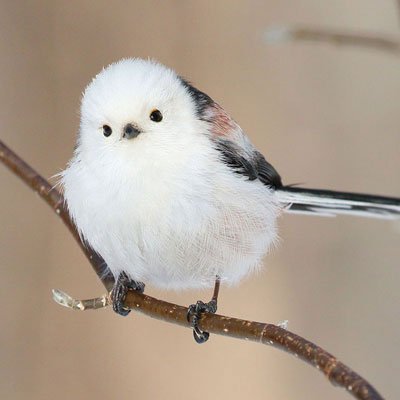 hogehog27105327's profile picture. テスト用アカウント😆