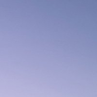๐ (@secr_ing) 's Twitter Profile