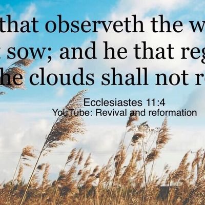 benja0843's profile picture. 