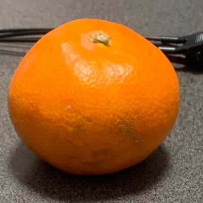 ぶなしめじ アークスオンラインショップ Arcs Online Shop