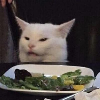 Majorbob12's profile picture. Yolo