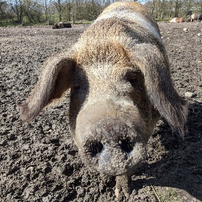 janthegreatest1's profile picture. 