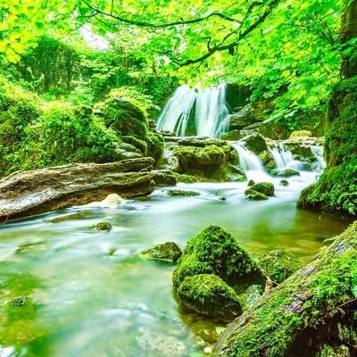 アウトプットの練習用に作りました。毎日とまではいきませんが、日によって感じたことを定期的にアウトプットしていきます。
アウトプットを通じて自分を変えていきたいです。無言フォロー失礼します_(..)_