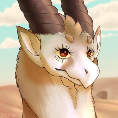 25 yo dutch fluffy dragon.
I dont really use social media alot so dont expect anything on here :)
Former bioloy student, moving on to something else soon!