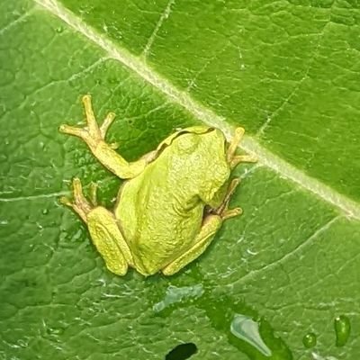 夏は農民、冬は冬眠o(^o^)o
だいたい自由に動いています。