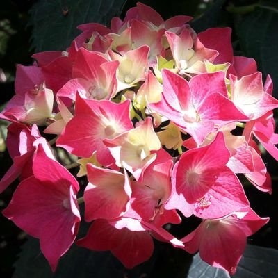 juntak_m14's profile picture. 