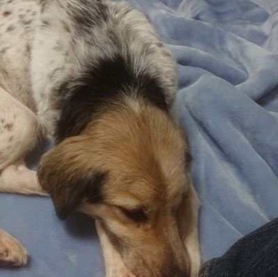 ichigomachmaro's profile picture. かわいいは正義
ヘッダーは李兎さんにいただきました！