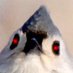 Tufted Titpostbot5000 (@asoftbird) Twitter profile photo Tufted Titpostbot5000 (@asoftbird) Twitter profile photo