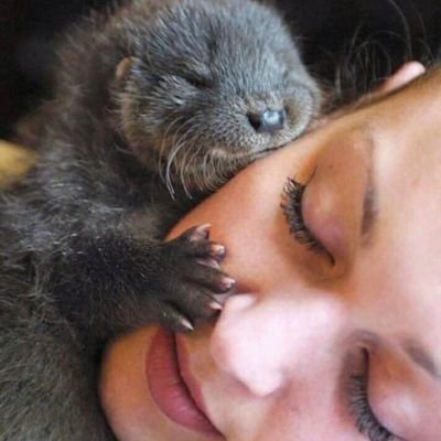 uEHWgcGmPgmGhPy's profile picture. 