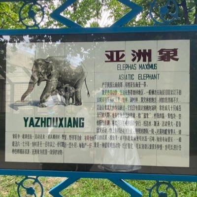 zbdwbzzcsstc's profile picture. 独立人格的雏形是高密度的灵魂自省