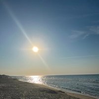 Bar (@brandoncentralc) 's Twitter Profile