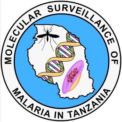 nimrmsmt's profile picture. Molecular Surveillance of Malaria in Tanzania(MSMT)
