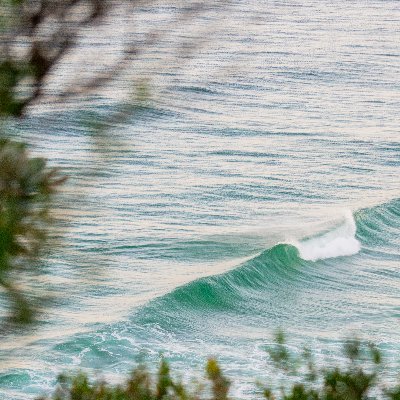 FrugalCashFlow's profile picture. 