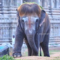 Sai ( ସାଇ )🇮🇳⚔️ (@sai_odia) 's Twitter Profile
