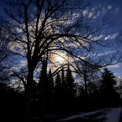 prakash_051's profile picture. 