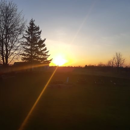 alivenotperfect's profile picture. Mom, wife, teacher, looking for the helpers. Anonymous in order to have a voice.
She/her.