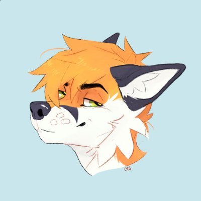 19 y / Poland /??? / BYAC HLD