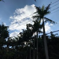 sinakikai (@v8julqtwi5pwowh) 's Twitter Profile