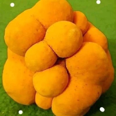 Ahannan1234567's profile picture. 