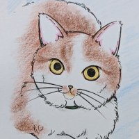 なつおとふうか (@nsudo3) 's Twitter Profile