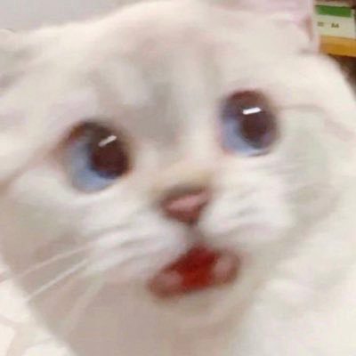 sw: 209 || cw: 191 || fatphobes dni || I post and interact with sh