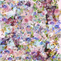 vimfuture.eth (🎮,🟢) (@bruce_dopa) 's Twitter Profile Photo vimfuture.eth (🎮,🟢) (@bruce_dopa) 's Twitter Profile Photo