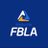 WellsvilleFBLA's profile image