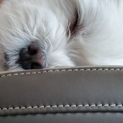 @AZENT_OW