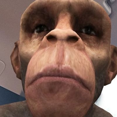 EnzoPnsc's profile picture. Salut ça va ?