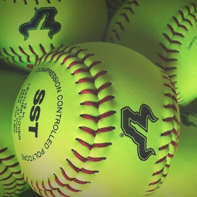 USF Softball Camps Official Twitter  
Information and Updates regarding USF Softball Camps