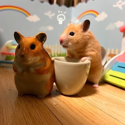 ボドゲどハマり過ぎて垢作成しました♟ボドゲ好きな方仲良くしてください!!!無言フォロー失礼します！この世のボドゲ遊び尽くすぞぉ!!
