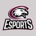 Chadron State Esports (@csceagleesports) Twitter profile photo Chadron State Esports (@csceagleesports) Twitter profile photo