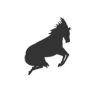 コウ (@tpf0dgs) 's Twitter Profile