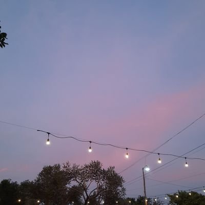 ivoviolitaa's profile picture. -