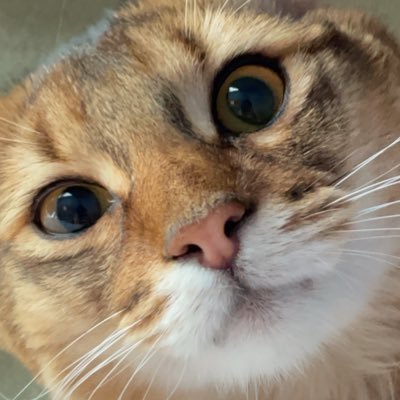 ノ瀬さんのプロフィール画像