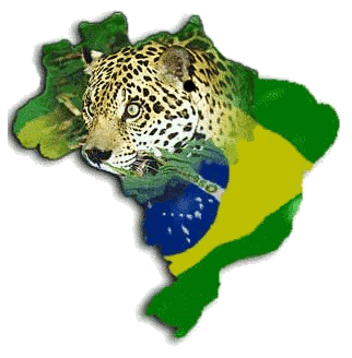 Notícia na verdade em, tempo real sobre o mundo gospel tão badalado.