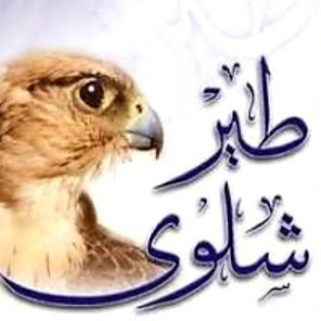 6yrshalwa's profile picture. مؤثر