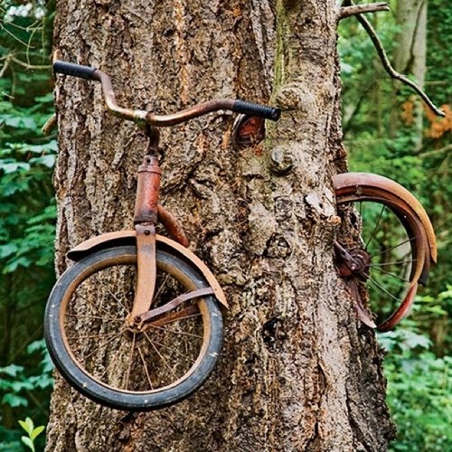 PatchworkJones's profile picture. 