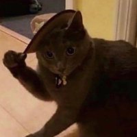 Armandas (@maty0_csgo) 's Twitter Profile Photo Armandas (@maty0_csgo) 's Twitter Profile Photo