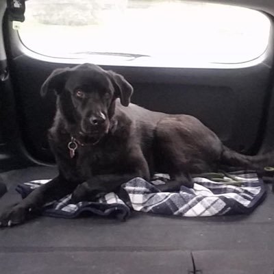 loogie_rich's profile picture. I hate when a motherfucker a soon shit