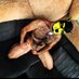 dreslow (@pup_dreslow) Twitter profile photo dreslow (@pup_dreslow) Twitter profile photo