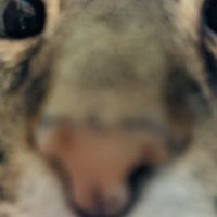 Forever_December (@foreverdecembe) 's Twitter Profile