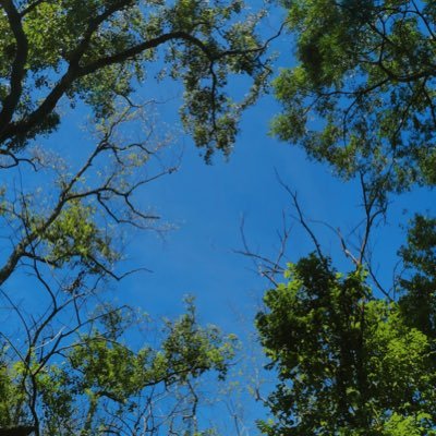 nzacs12345666's profile picture. 