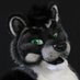 Aero (@AeroRaccoon) Twitter profile photo